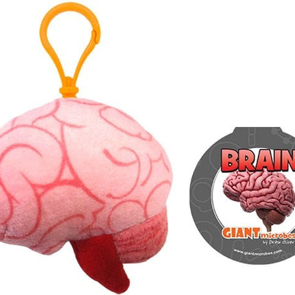 Brain Organ Keychain- With Informational Tag