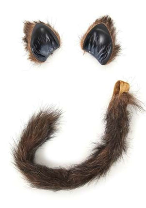 Brown Cat Ears & Tail Kit