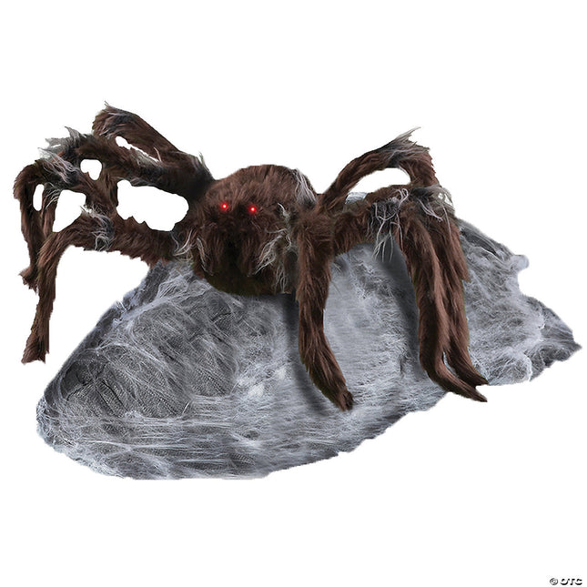 Brown Jumping Spider- still