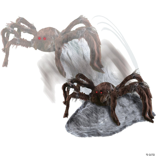 Brown Jumping Spider- jumping