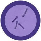 C. Diff Under Microscope