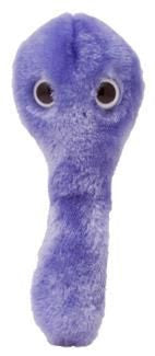 C. Diff- Classic- Front View