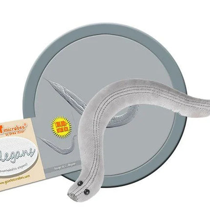 C. Elegans- With Informational Tag