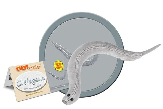 C. Elegans- With Informational Tag