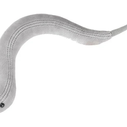 C. Elegans- Front View