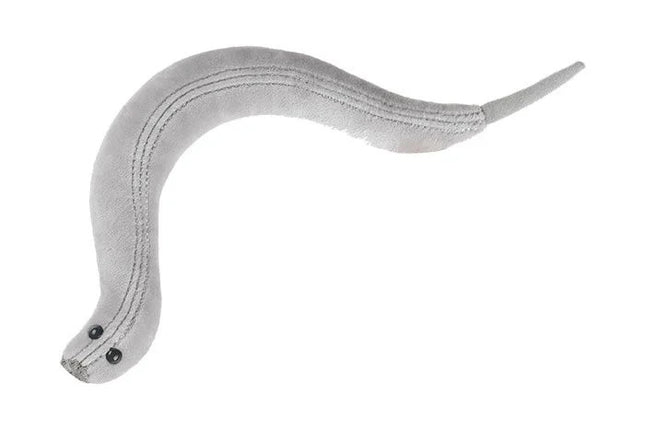 C. Elegans- Front View