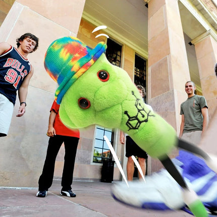 THC- Classic- Fun Photo