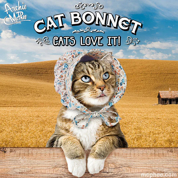 Tabby Cat wearing bonnet