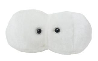 Cavity Plushie