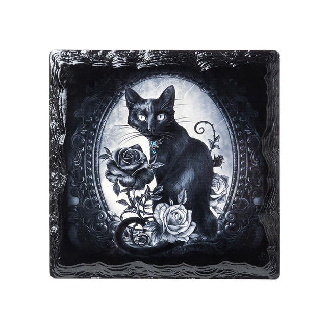 Paracelsus Coaster