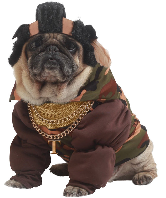Pity the Bull Pet Costume