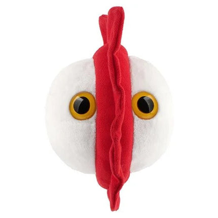 Chicken Pox- Front View 3