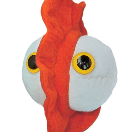 Chicken Pox- Front View