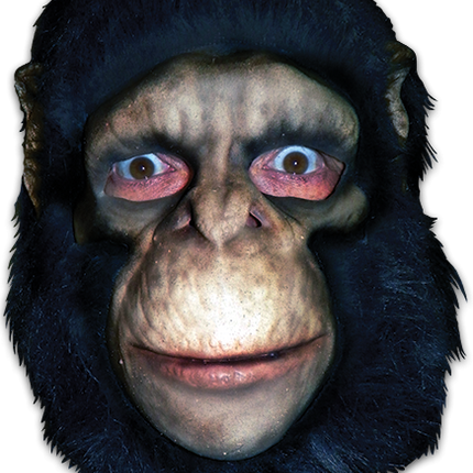 Chimpanzee Full Head Mask