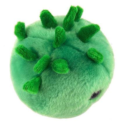 Chlamydia- Top View