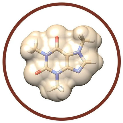 Chocolate- Molecule