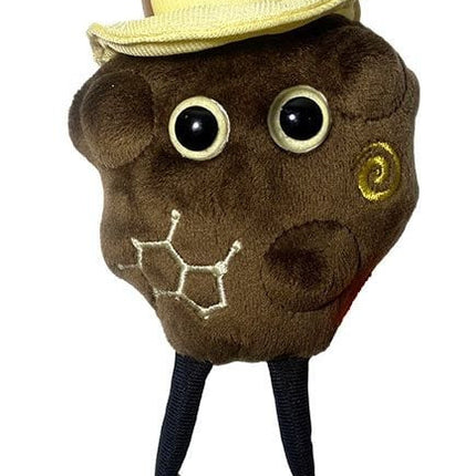 Chocolate- Front View