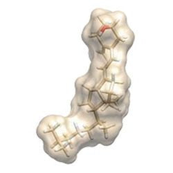 Vitamin D Molecule