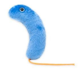 Cholera Plushie
