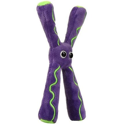 Chromosome- Angled View