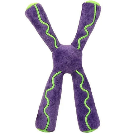 Chromosome- Back View
