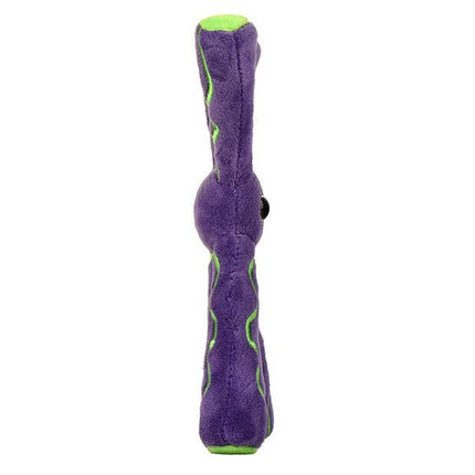 Chromosome- Side View