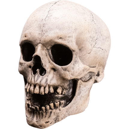 FEAR STREET - SKULL MASK KILLER MASK left side