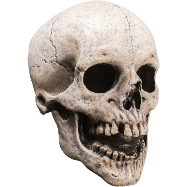 FEAR STREET - SKULL MASK KILLER MASK right side