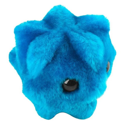 Common Cold- Angled View