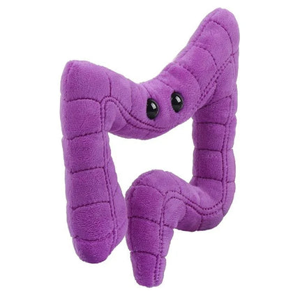 Colon- angled view