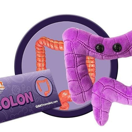 Colon- with informational tag