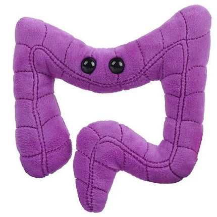 Colon- front view