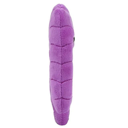 Colon- side view