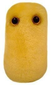Cough Plushie