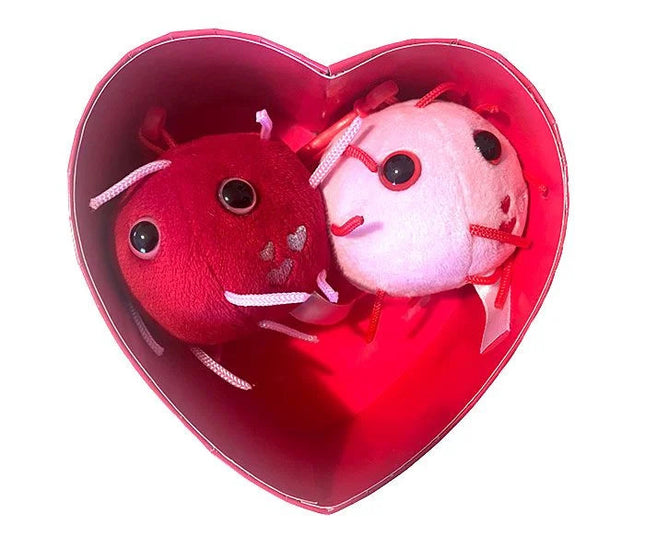 Covid with Love Heart Box- Inside