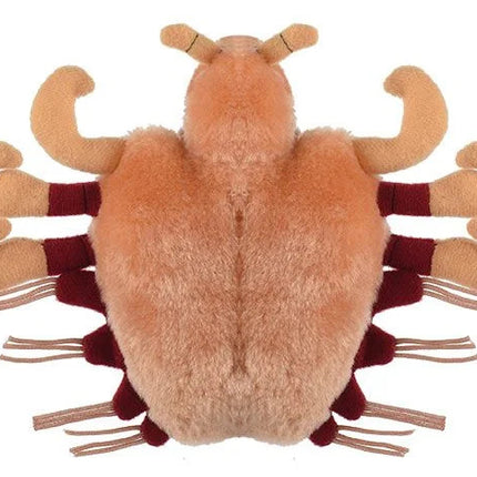 Crab Louse- Bottom View