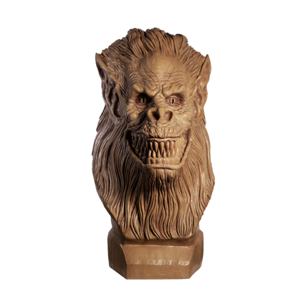 Front of Fluffy Bust