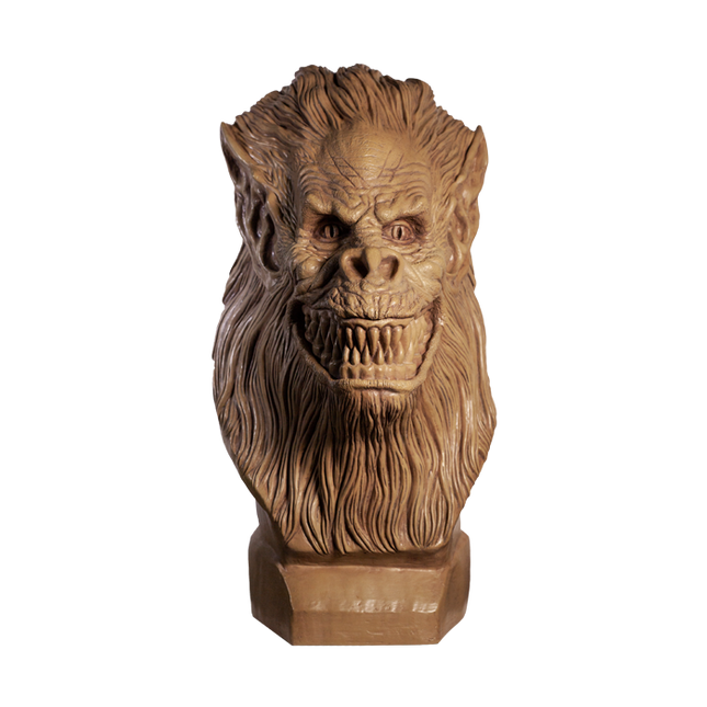 Front of Fluffy Bust