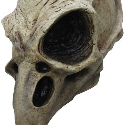 Crow Skull Mask