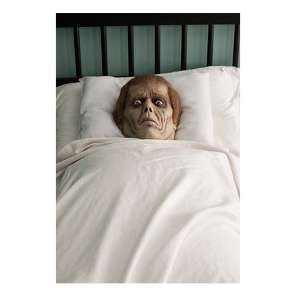 Roger Pillow Prop in Bed