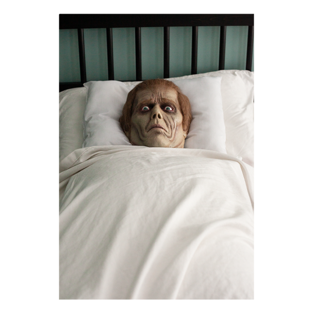 Roger Pillow Prop in Bed