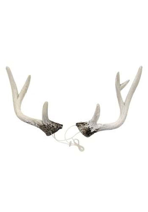 Deer Antlers