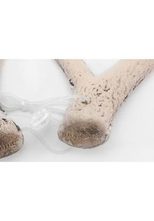 Deer Antlers- close up