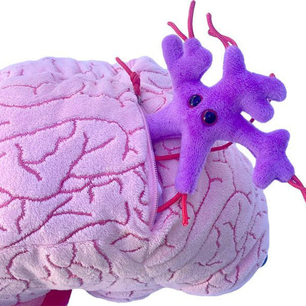 deluxe brain plushie with glial cell coming out of zipper pocket