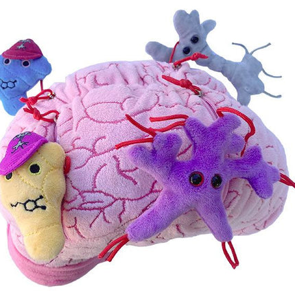 deluxe brain plushie with Glial Cell, Neuron, Dopamine and Serotonin outside of zipper pockets
