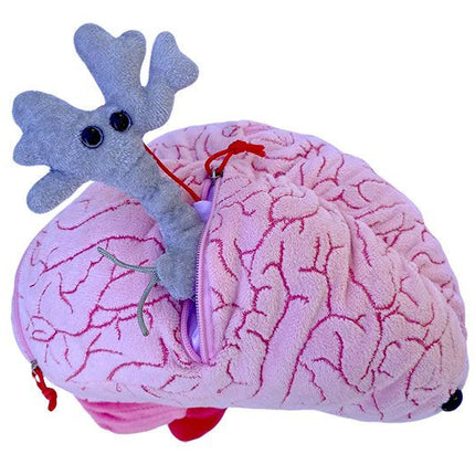 deluxe brain plushie with brain cell/ neuron coming out of zipper pocket