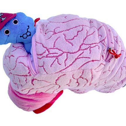 deluxe brain plushie with serotonin coming out of zipper pocket