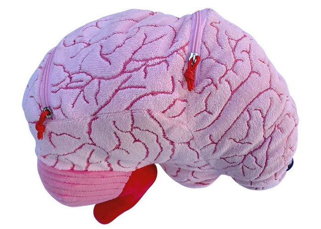 deluxe brain plushie zipped closed side view