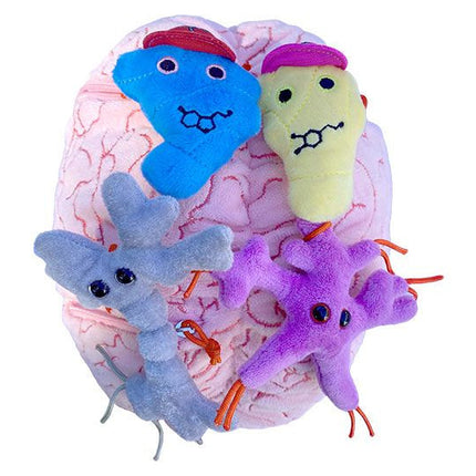 deluxe brain plushie with Glial Cell, Neuron, Dopamine and Serotonin outside of zipper pockets
