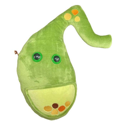 Deluxe Gallbladder w gallstones